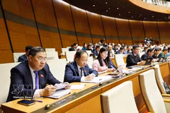 NA deputies at the discussions (Photo: VNA)