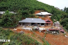 Illustrative image (Photo: VNA)