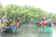 Dong Thap has completed registration for its fleet of 1,505 fishing vessels. (Illustrative photo: VNA)