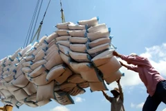 A rice shipment being readied for transport in the Mekong Delta province of Dong Thap. (Photo: VNA)