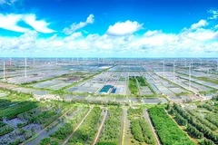 A wind power farm in Bac Lieu province. (Photo: VNA)