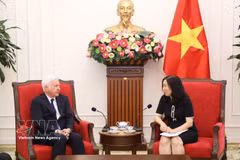 Deputy Minister of Foreign Affairs Le Thi Thu Hang (R) meets with Honorary Consul of Vietnam in Ireland Patrick McKillen in Hanoi on April 21. (Photo: VNA)