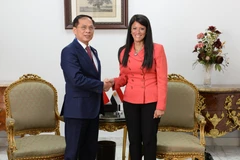 Deputy Prime Minister and Minister of Foreign Affairs Bui Thanh Son on August 5 meets with Egyptian Minister of Planning, Economic Development and International Cooperation Rania A. Al-Mashat. (Photo: VNA)