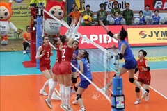 Vietnamese and Russian players in the final match of VTV Ferroli Cup 2025. (Photo: VNA)