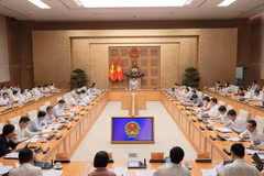 Deputy PM Nguyen Chi Dung speaks at a Government meeting on the role SOEs are to play in Vietnam's next development phase on June 16. (Photo: baochinhphu.vn)
