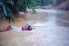 A snapshot of Midwife Dona Lubis braving the strong currents of the Batang Pasaman River to treat a Tuberculosis (TB) patient in Kejorongan Sinuangon, Nagari (village) Cubadak Barat, Dua Koto Subdistrict, Pasaman Regency, on August 3, 2025. (Photo: Antara)