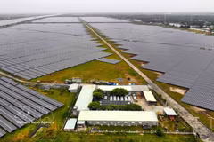 Solar panels at the Trung Nam Tra Vinh Solar Power Plant generate around 250 million kWh of electricity annually. (Photo: VNA) 