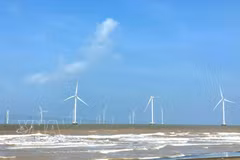A wind farm in Vinh Long province (Photo: VNA)