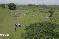 Tourists visit the Plain of Jars in Xiengkhouang, Laos.(Photo: VNA)