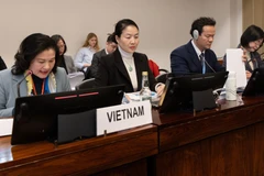 Deputy Minister of Home Affairs Nguyen Thi Ha (first from left) at the dialogue session on the country’s ninth national report on the implementation of the Convention on the Elimination of All Forms of Discrimination against Women (Photo: VNA)
