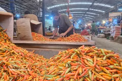 Chili peppers are on the list of essential goods in Indonesia (Photo: VNA)