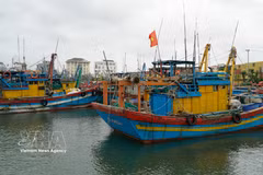 Illustrative photo (Source: VNA)