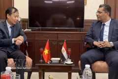 Vietnamese Ambassador to Egypt Nguyen Nam Duong (L) has a working session with Egypt’s Red Sea Governor Walid Al Barqi on July 11. (Photo: VNA)