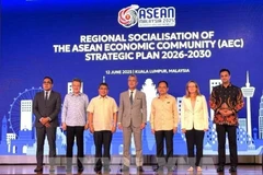 Through the ASEAN Economic Community Strategic Plan, ASEAN member countries aim to significantly enhance intra-regional trade by building greater resilience to external shocks and promoting the connectivity of the common market for goods, services and investment. (Photo: VNA)