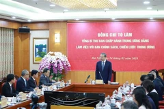 Party General Secretary To Lam speaks at working session with Party Central Committee’s Commission for Policies and Strategies (Photo: VNA)