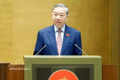 Party General Secretary and State President To Lam (Photo: VNA)