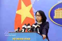 Foreign Ministry’s Spokesperson Pham Thu Hang (Photo: VNA)