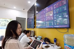 A customer conducts transactions at an office of Bao Viet Securities. (Photo: VNA)