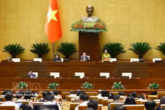 NA Vice Chairwoman Nguyen Thi Thanh chairs the plenary sitting (Photo: VNA)