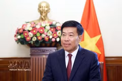 Deputy Minister of Foreign Affairs Nguyen Manh Cuong (Photo: VNA)