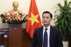 Deputy Foreign Minister Dang Hoang Giang (Photo: VNA)