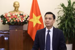 Deputy Foreign Minister Dang Hoang Giang (Photo: VNA)