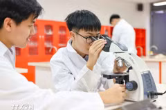 Students conduct scientific research. (Photo: VNA)