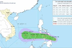 The direction of the tropical depression over the eastern waters of the central Philippines on November 24 (Photo: National Centre for Hydrometeorological Forecasting)