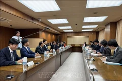 At the sixth Vietnam - Japan high-level agricultural cooperation dialogue (Photo: VNA)