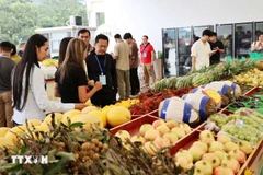 Various Vietnamese fruits, including durian and passion fruit, are on sale at China's Youyi Guan border gate. (Photo: VNA)