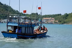 Since the beginning of 2025, Gia Lai's coastal border guard units have coordinated with relevant agencies to maintain 546 safe fishing teams comprising 2,267 vessels and 9,602 fishermen. (Illustrativephoto: VNA) 