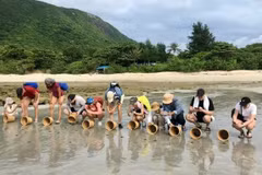 Foreign tourists enjoy participating in the release of baby turtles back into the sea in Con Dao Island, Ho Chi Minh City (Source: sggp.org.vn)