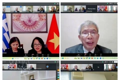 Delegates join the online meeting connecting the Federation of Industries of Greece with the Vietnam Timber and Forest Products Association. (Photo: VNA)