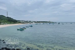 A corner of the Phu Quy special zone in Lam Dong province (Photo: VNA)