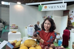 Introducing Vietnamese farm produce at the 41st Macfrut Fair in Rimini City, Emilia-Romagna region, Italy. (Photo: VNA)