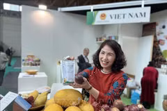 Introducing Vietnamese farm produce at the 41st Macfrut Fair in Rimini City, Emilia-Romagna region, Italy. (Photo: VNA)