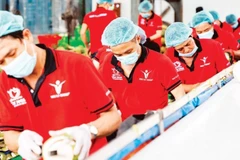 Workers process coconuts for export at Vina T&T Group. (Photo: nhandan.vn)