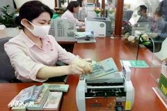 The State Bank of Vietnam set the daily reference exchange rate for the US dollar at 24,793 VND/USD on March 18 (Photo: VNA)