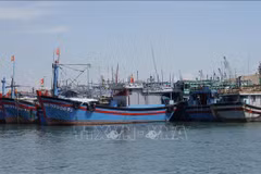 Fishing vessels are anchored at a fishing port in Quy Nhon ward, Gia Lai province. (Photo: VNA)
