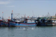 Fishing vessels are anchored at a fishing port in Quy Nhon ward, Gia Lai province. (Photo: VNA)