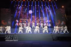 Vietnamese martial artists perform Vovinam. (Photo: VNA)