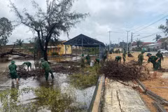 On November 24, the Dak Lak Border Guard Command continues deploying maximum forces and vehicles to the hardest-hit localities, working closely with Party Committees and administrations at all levels, as well as forces to assist residents in addressing post-flood consequences and stabilising their lives. (Photo: VietnamPlus)