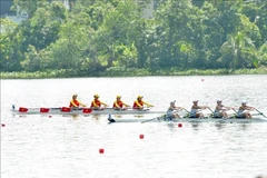Rowers compete at the 2025 Asian Rowing Championships. (Photo: VNA)