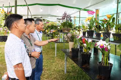 Visitors tour the display (Photo: VNA)