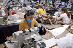 Producing garment products for export (Photo: VNA)
