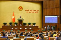 The National Assembly votes to adopt the resolution on the establishment of Dong Nai city as a centrally governed city. (Photo: VNA)