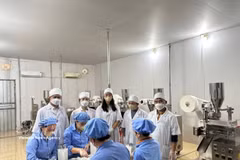 Pu Mat Medicinal Herbs JSC in Con Cuong commune, Nghe An province, has developed a line of products, including milk thistle extract and Gymnema sylvestre extract that meet OCOP 4-star standards. (Photo: VNA)