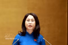 Minister of Culture, Sports and Tourism Lam Thi Phuong Thanh, authorised by the Prime Minister, presents the report explaining, receiving and revising the draft NA resolution on the development of Vietnamese culture at the session in Hanoi on April 24, 2026. (Photo: VNA)