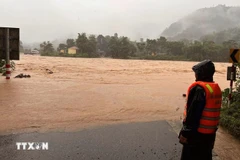 Roads are underwater in Quang Tri province (Photo: VNA)