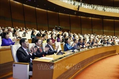 National Assembly deputies attend a working session. (Photo: VNA)